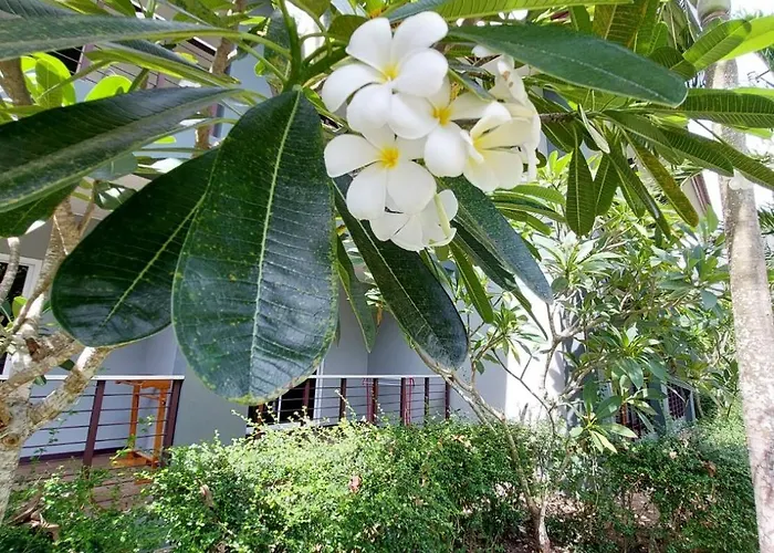 Sisina Resort