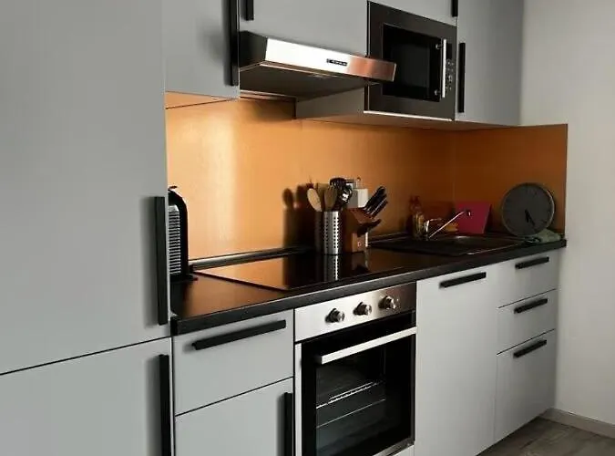3 Room Apartment In Kelsterbach Frankfurt