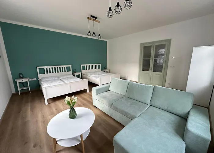 Vila Frana Apartman 1