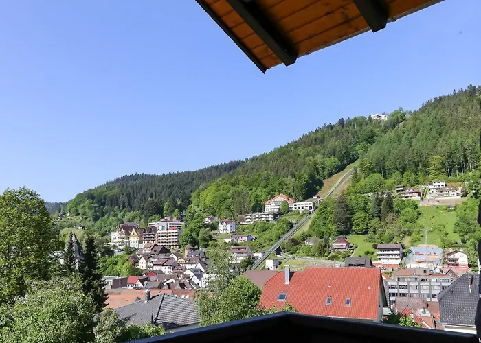 Aparthotel Schwarzwald Panorama