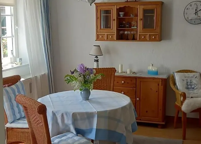 Möwe