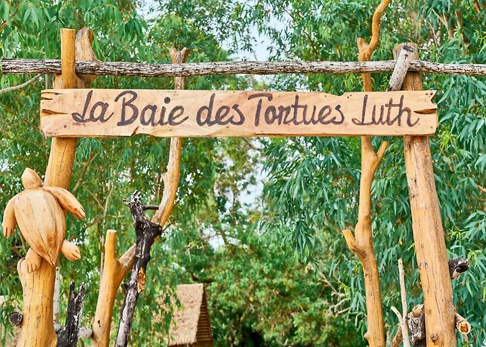 La Baie Des Tortues Luth
