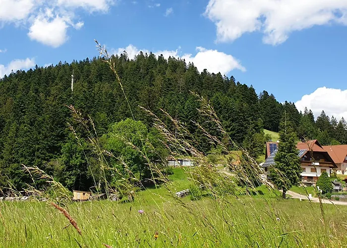 Sandras Bergstation