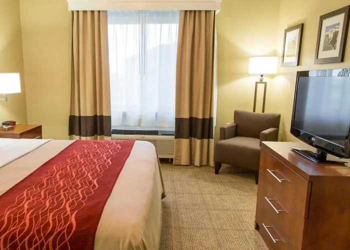 Comfort Inn DFW Airport North