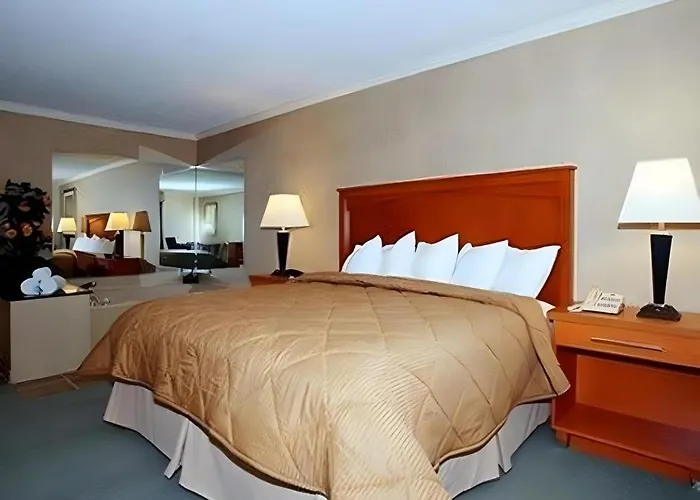 Best Western Davison Inn
