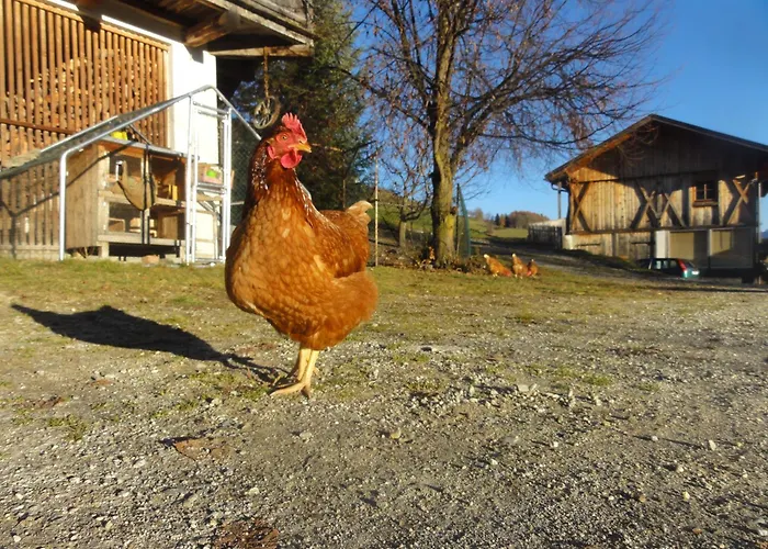 Mair am Graben Farm Chalets