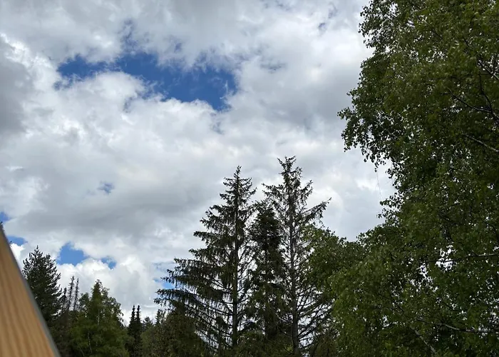 Alexandro Apartmani Zlatibor