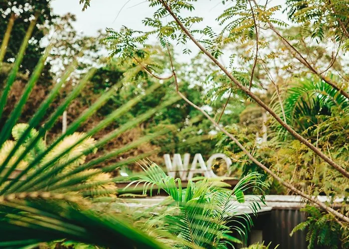 Wao Jungle Venao