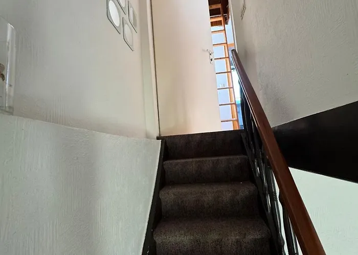Apartment Near Olg & University