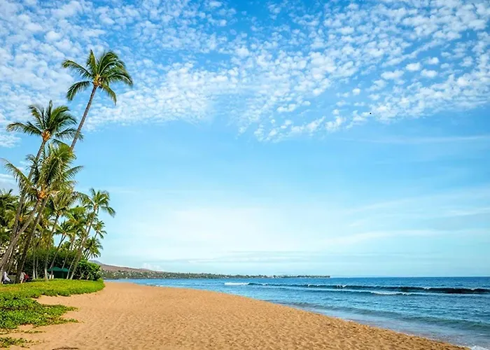 Walk To Beach! Pool, Hot Tub + Ac Studio