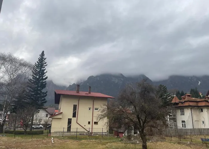 Pensiunea Farfuria Plina