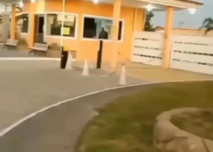 My House