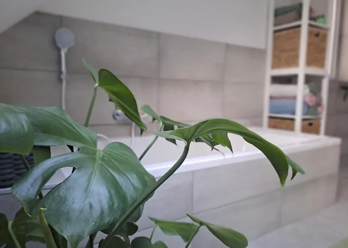 Rheinhessen-Loft