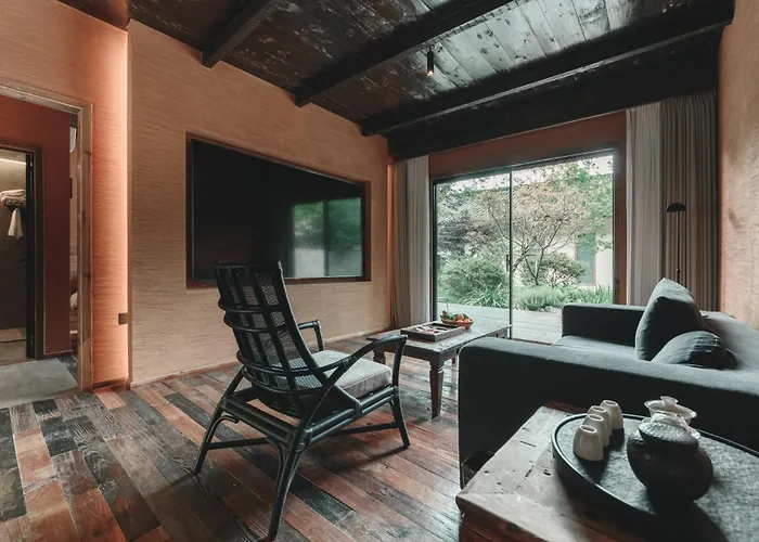 Yunxi Chanyi Forest Soup Spring Resort Hotel ,Provides Pick-Up Service And Tea Leaves,Drink Chinese Wild Tea Leaves