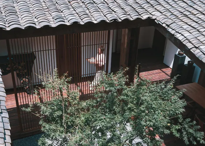 Yunxi Chanyi Forest Soup Spring Resort Hotel ,Provides Pick-Up Service And Tea Leaves,Drink Chinese Wild Tea Leaves