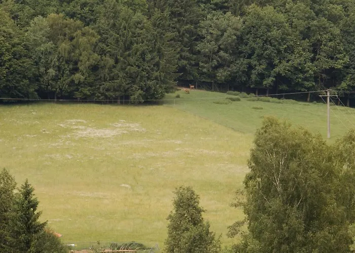 Idyllisch gelegene Ferienwohnung Xaver im Herzen des bayerischen Waldes