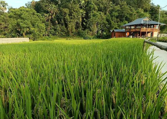 Little Tay Homestay & Hostel