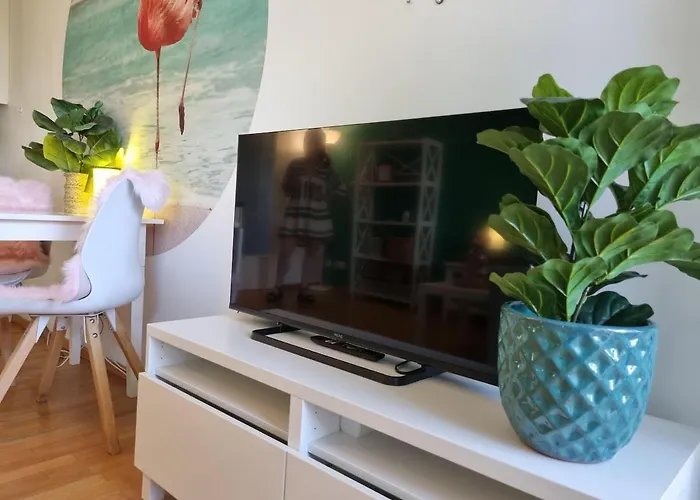 Flamingosuite In Seenaehe