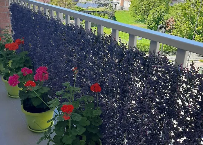 Casa Mario, In The Heart Of Asti