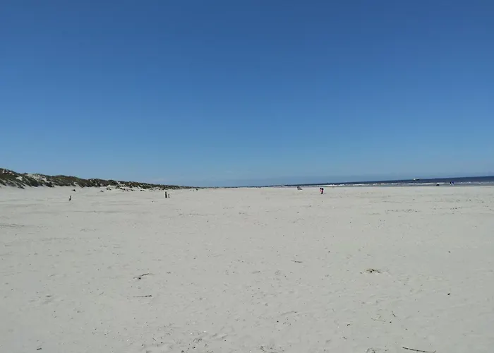 Toplocatie! Strand 200 Meter En Prachtig Uitzicht Op De Duinen, No Additional Costs