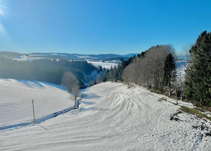 Panorama Studio im Schwarzwald