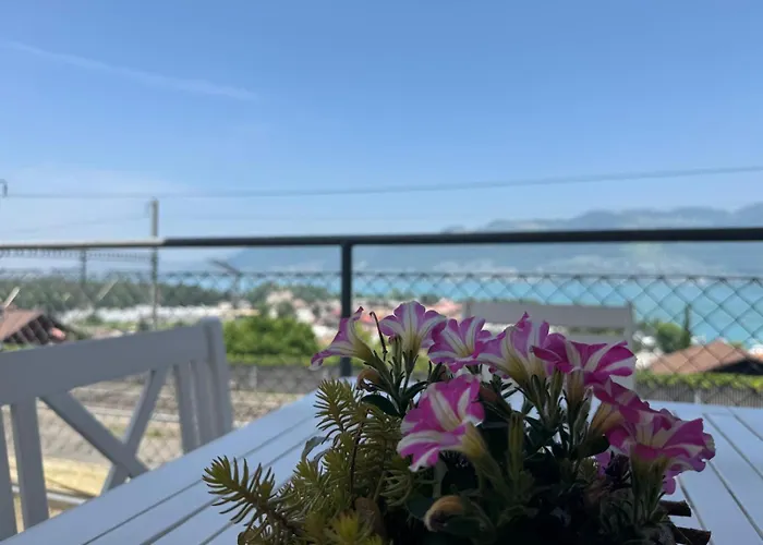 Swiss Apartment Thunersee
