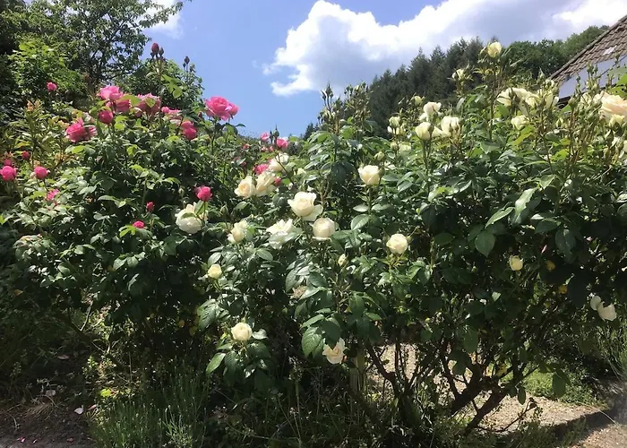 Apartment Rose