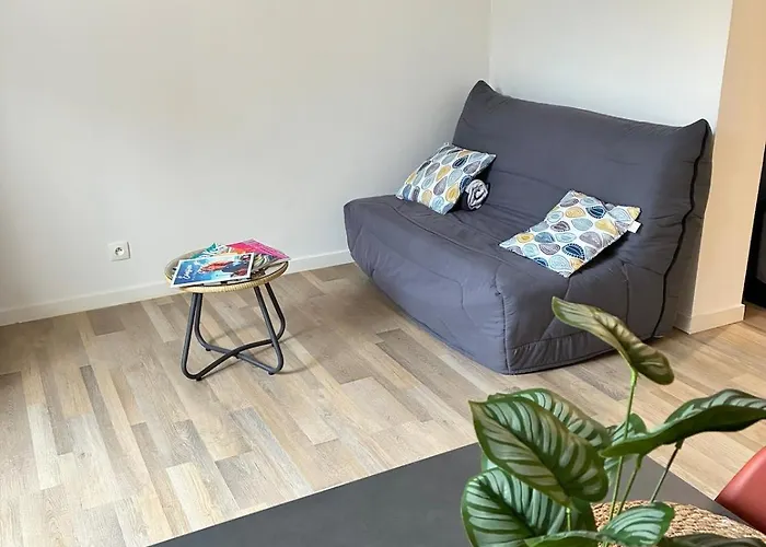 Logement Avec Terrasse