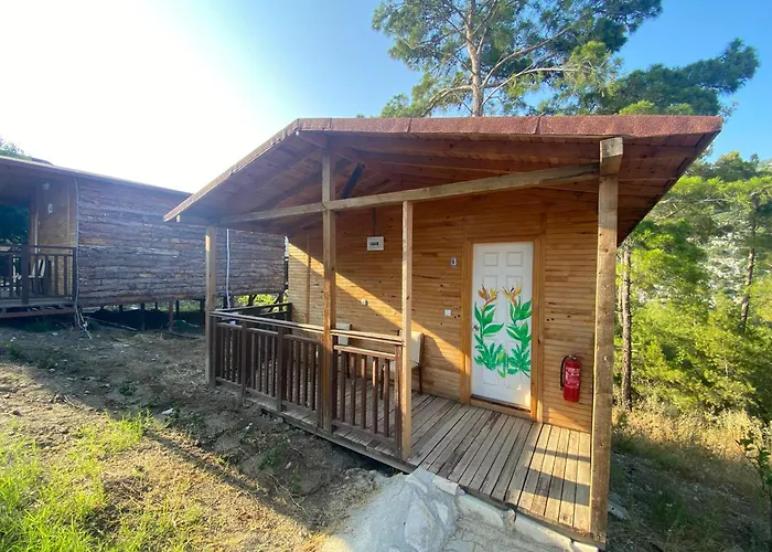 Kadir'S Eco Life