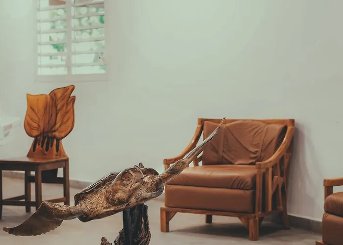 Hôtel Belle Terre Resort