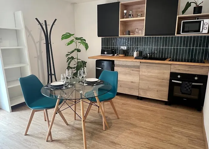 Studio Jardin Parking -Havre De Gentilly- Nancy Zenith