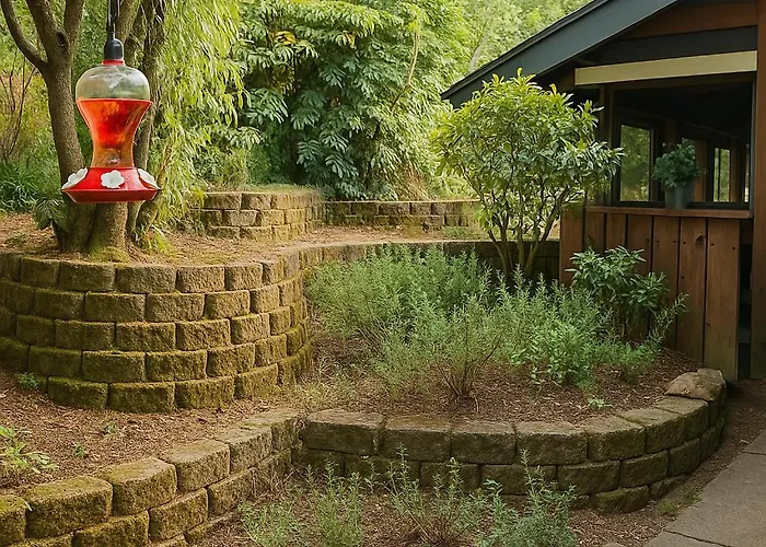 Master Stay W Fruitful Backyard