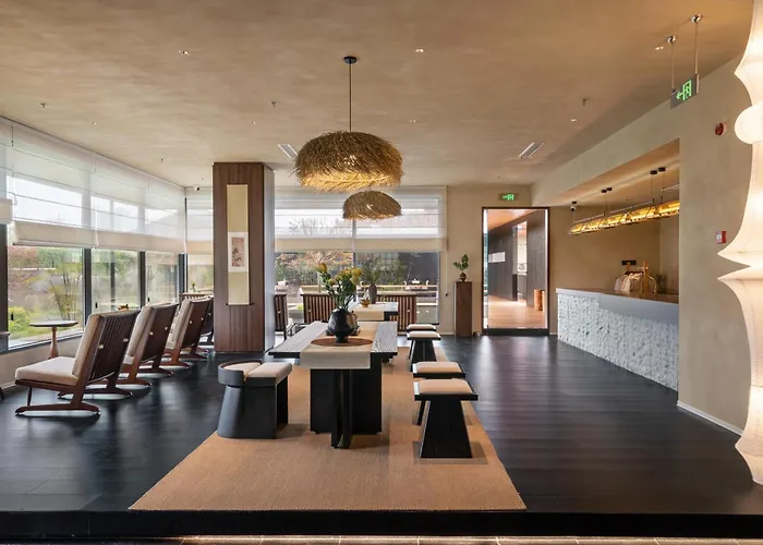 Terra Art Zen Hotel With Rooftop Zen Garden, Veggie Dining,Pick-Up Service,English Speaking,Free Laundry