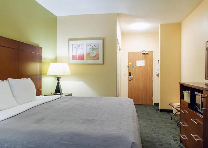Quality Inn & Suites Bloomington I-55 And I-74
