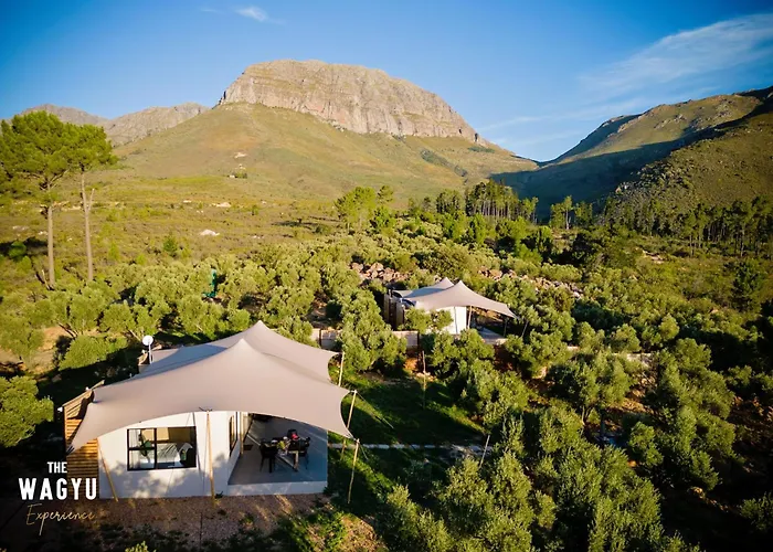 Wagyu Mountain Lodge