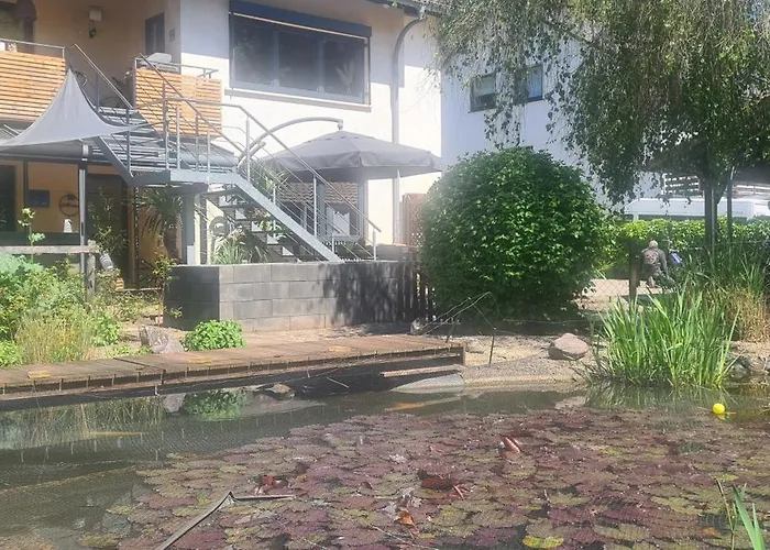 Studio Summer Garden
