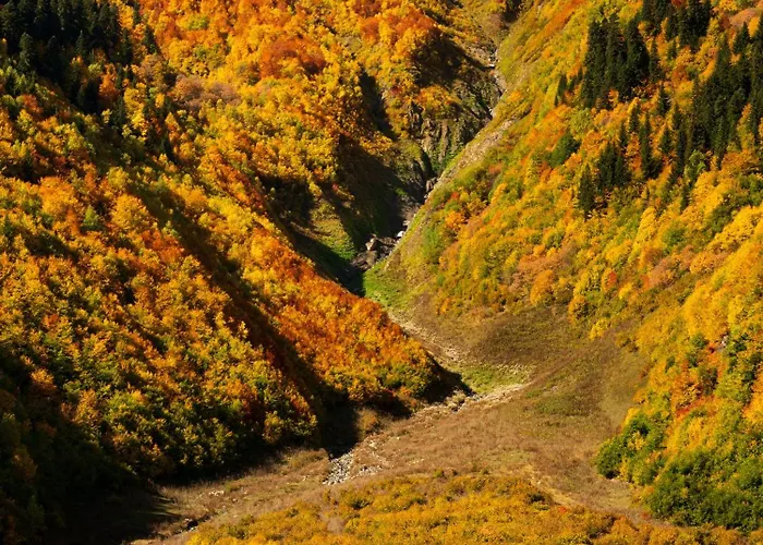 Panorama Ushba
