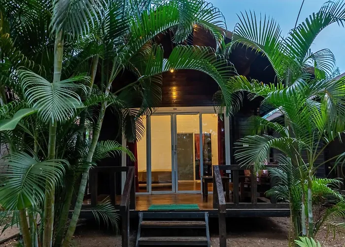The Exotica Agonda