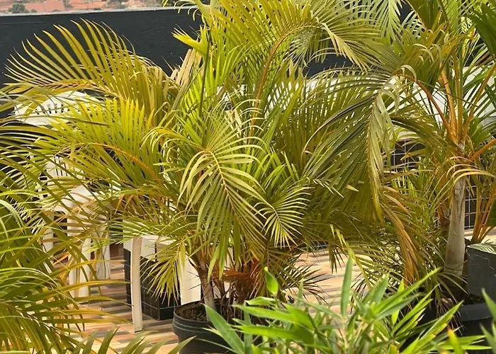 Javelin Hotel , Kampala, Uganda