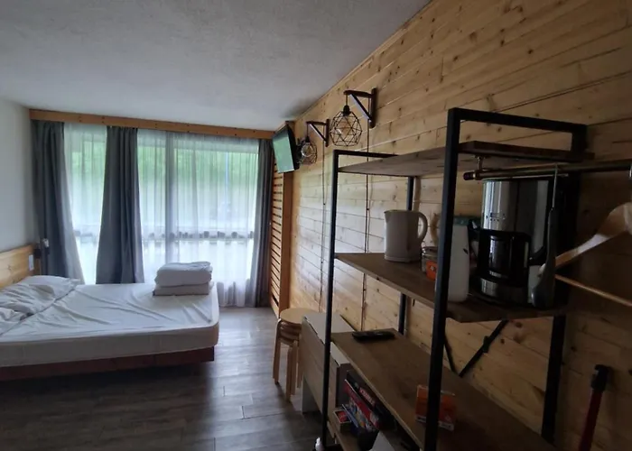 Joli Studio Au Pied Des Pistes
