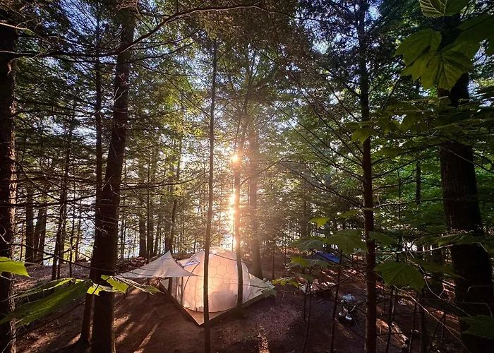 Hammock Haven Island Dome