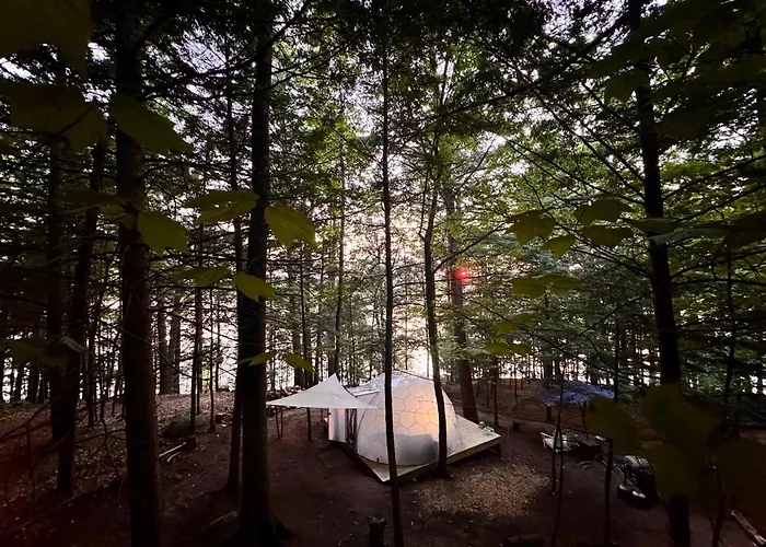 Hammock Haven Island Dome