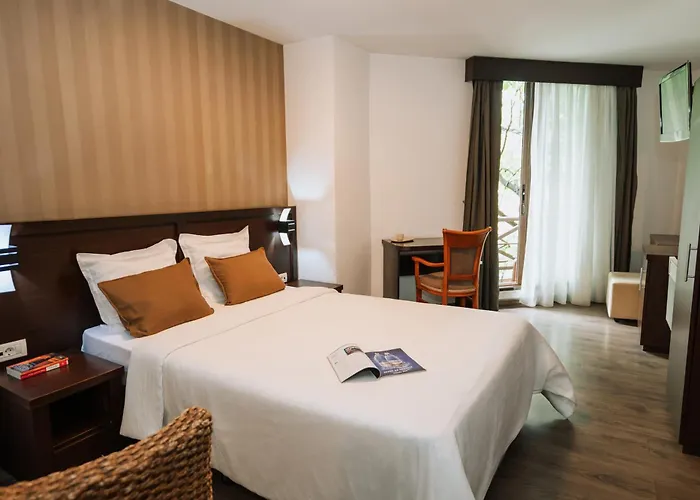 Hotel Duke Armeneasca City Center