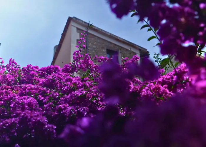 Hotel Casa Bougainvillea
