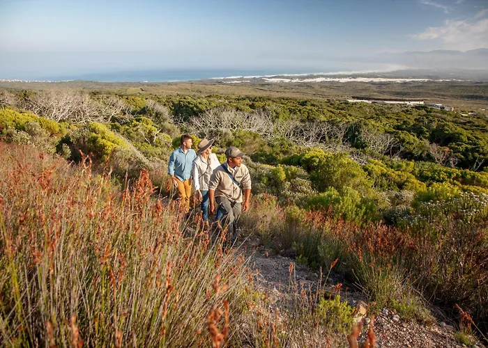 Grootbos Private Nature Reserve