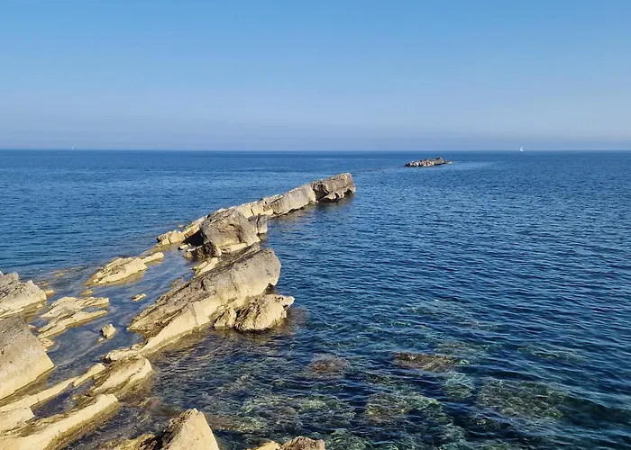 Saraceni