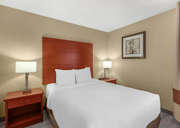 Comfort Inn & Suites Near Fallon Naval Air Station