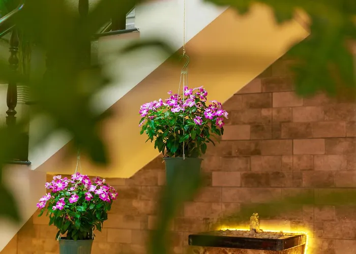 Van Loc Hotel