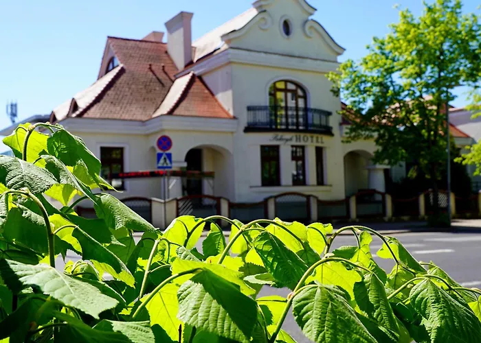 Hotel Palacyk Konin