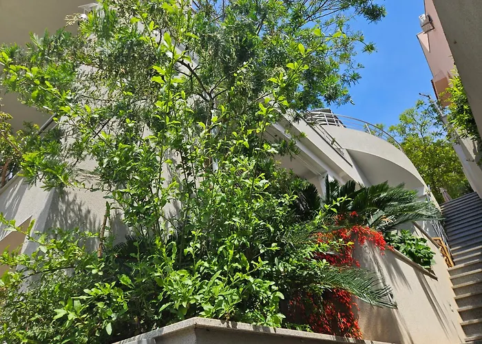 Apartmani Marinovic